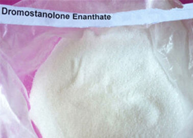 Poudre crue masculine de Masteron Enanthate d'hormone, muscle de construction Drostanolone Enanthate
