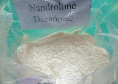 Catégorie pharmaceutique de grosse de perte de muscle de gain de stéroïdes de Durabolin de Nandrolone de Decanoate 250 poudre de mg