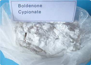 Poudre crue Boldenone Cypionate (106505-90-2) Ace audacieux d'hormone de stéroïdes de solution