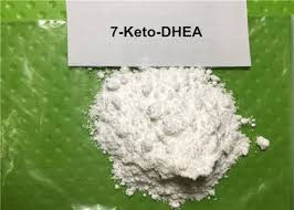 Poudre de supplément d'acétate de Prohormone 7-Keto-DHEA 7-Keto-DHEA pour la croissance maigre de muscle